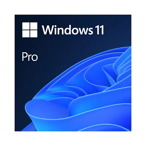 Win Pro 11 64Bit Eng Intl 1pk DSP OEI DVD